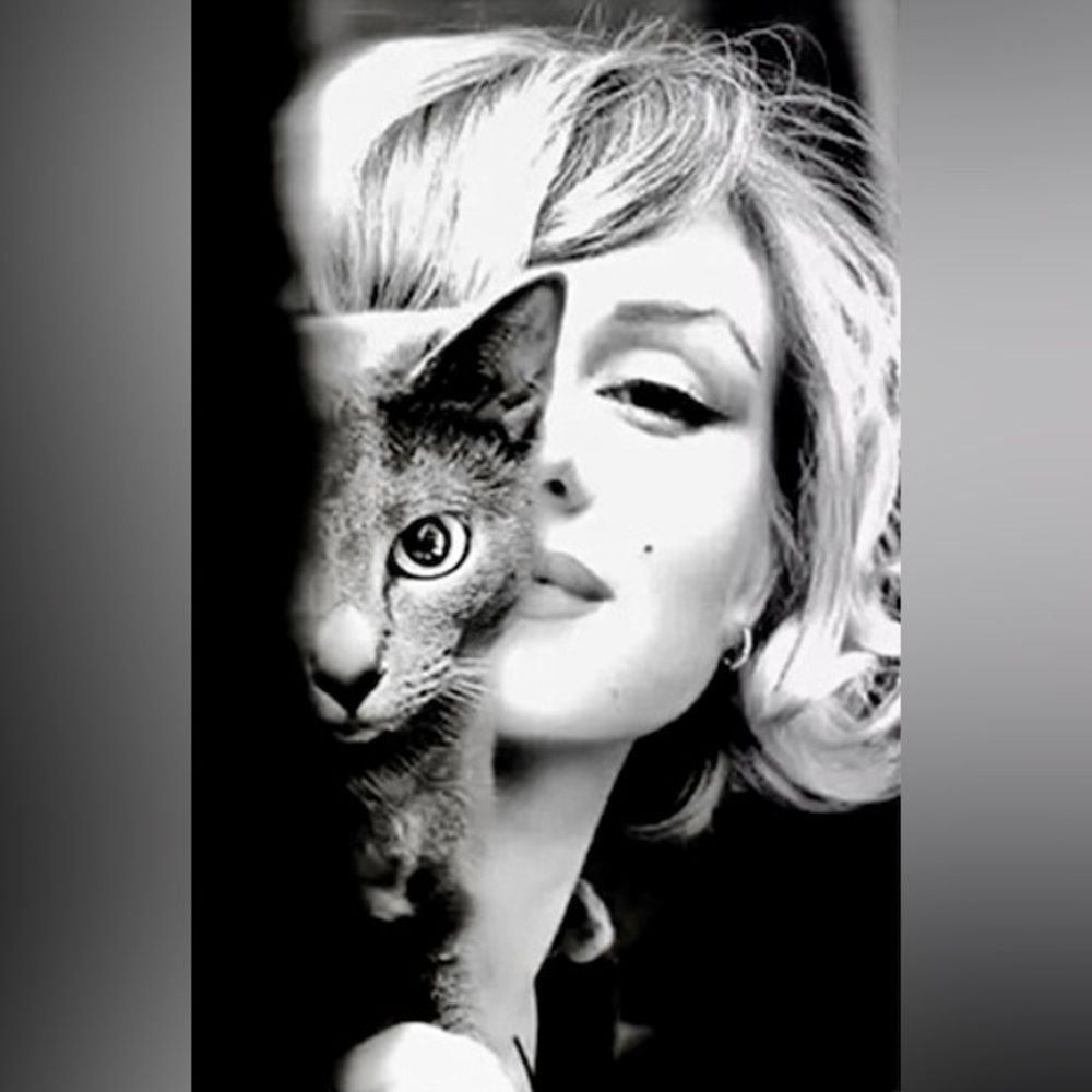 Marilyn Monroe RARE up close & PERSONAL print picture collection b&w photo - Picture 2 of 8